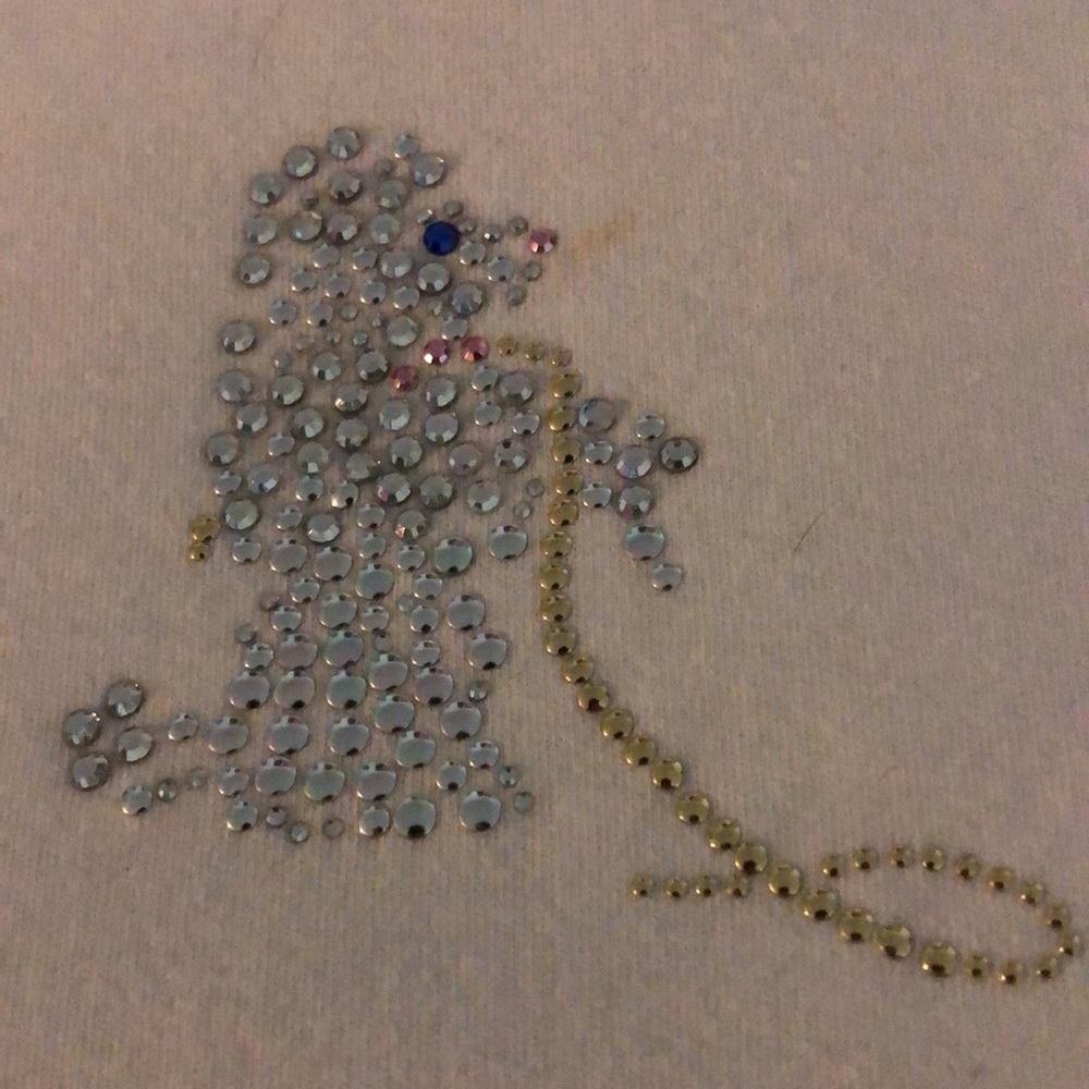 Nordstrom's  Mili Designs Sleeveless Poodle Top Sz L